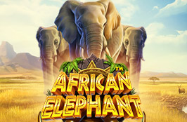 African Elephant